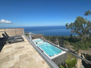 Superbe villa saint leu piscine et spa vue Océan